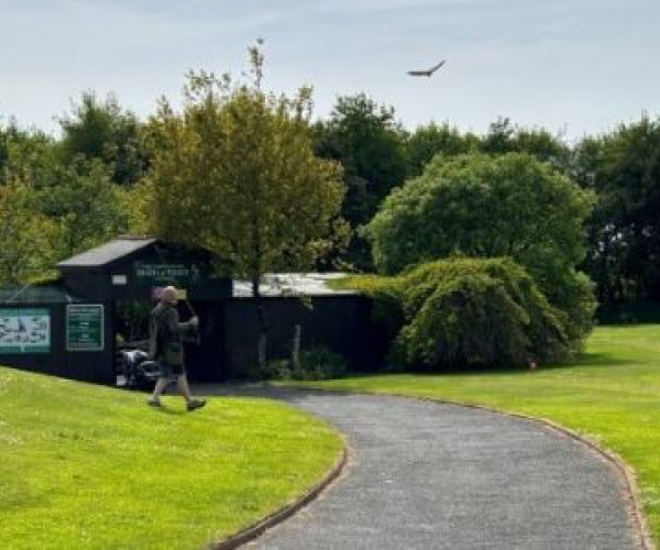 Bird of Prey Centre