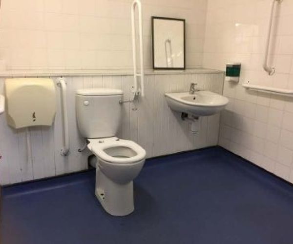 Disabled Toilet 1