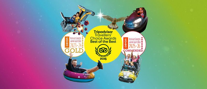 General Awards Graphic Desktop