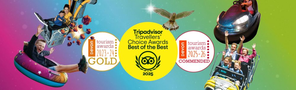 General Awards Graphic Desktop